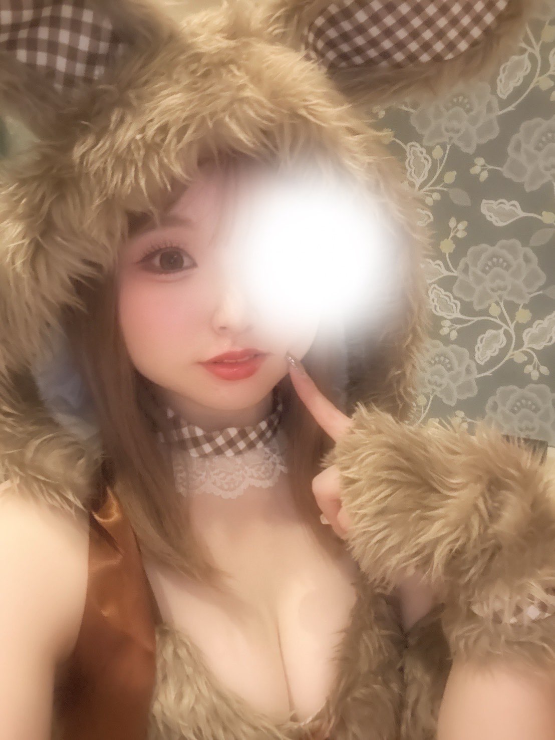 ののさんの写真